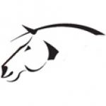 Cassina Piatta Quarter Horses