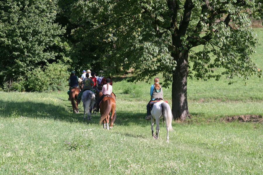 Strada verde varesina